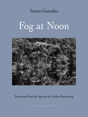 cover image of Fog at Noon
